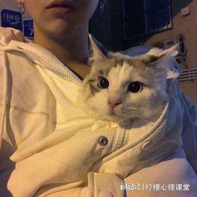 新快游戏我欲成仙下载